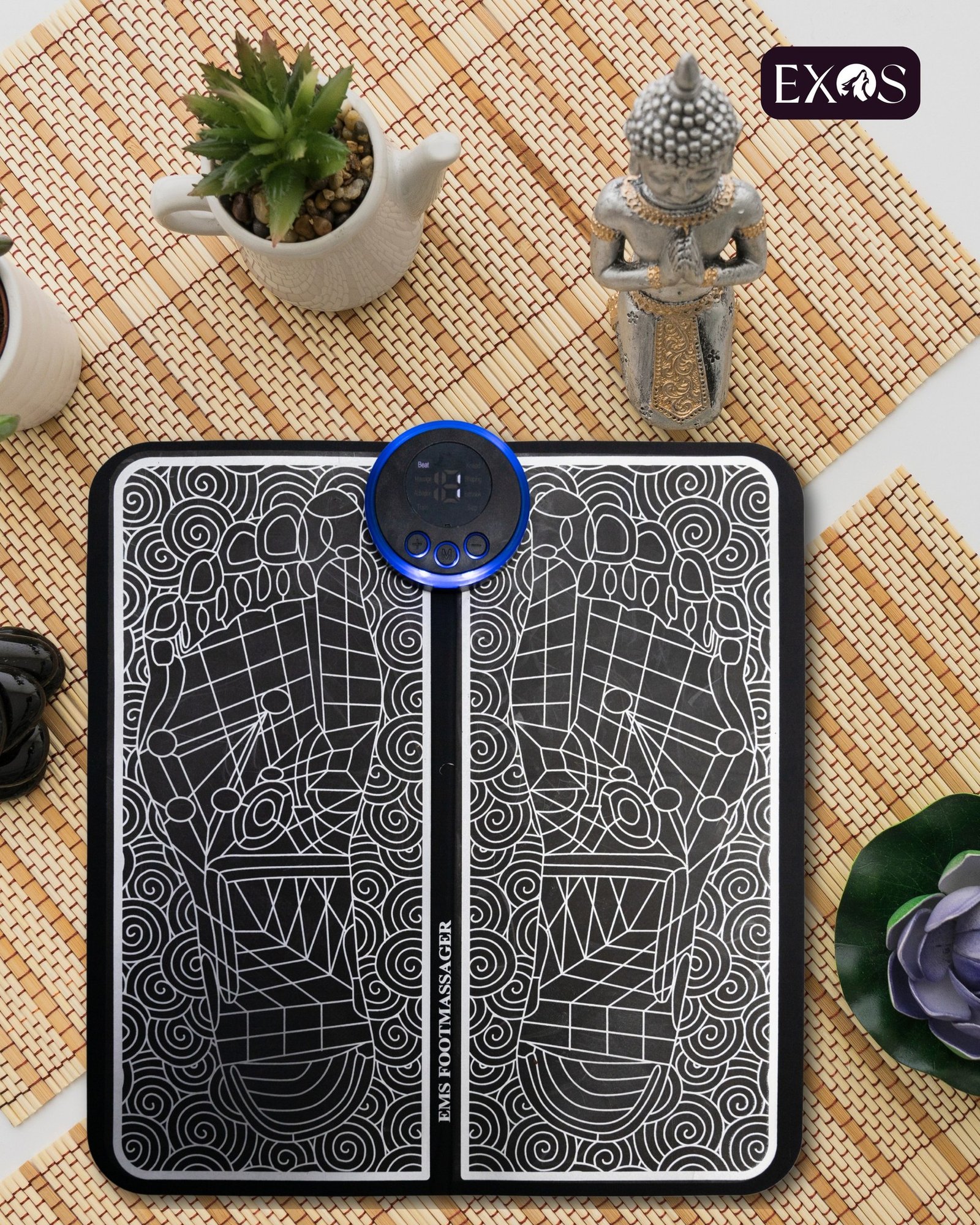 495932612_1136672771809734_6178675600581832477_n